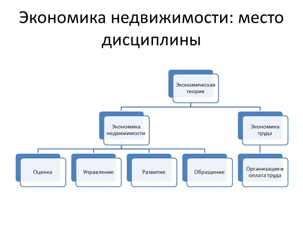 Экономика недвижимости: место дисциплины